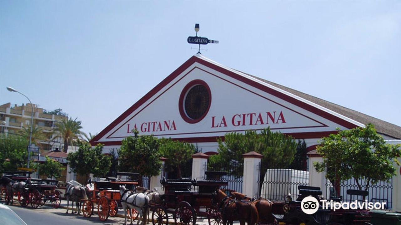 Апартаменти Convento De La Victoria Junto Al Cabildo Con Wifi Y Parking Gratis Санлукар-де-Баррамеда Екстер'єр фото