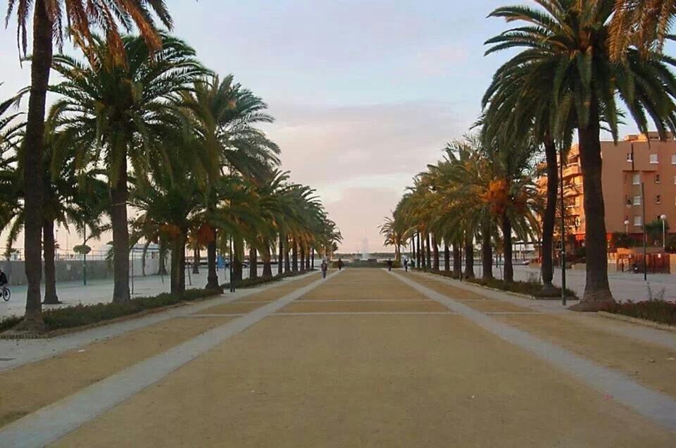 Апартаменти Convento De La Victoria Junto Al Cabildo Con Wifi Y Parking Gratis Санлукар-де-Баррамеда Екстер'єр фото